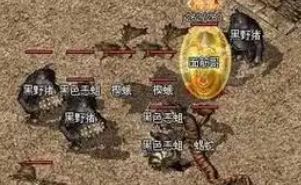 sf发布网 sf发布网