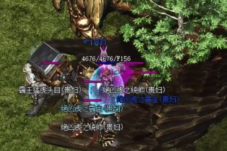 单职业传奇 单职业传奇